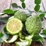 KAFFİR LİME FİDANI