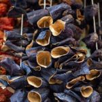 DOLMALIK PATLICAN 50 ADET