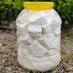 SALAMURA İNEK PEYNİRİ (5KG)