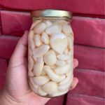 SARIMSAK TURŞU (KONSERVE ADET)